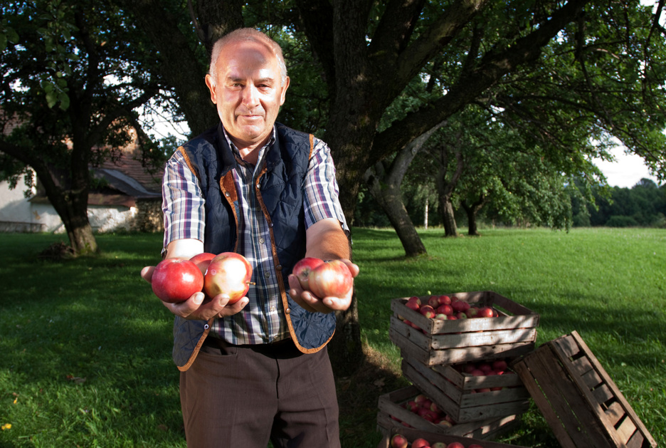 Orchard
